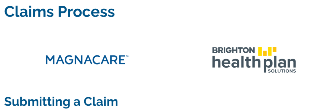 Magnacare Provider Portal Claim Status